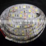 12V waterproof black light led strips 30leds/m