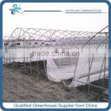 Cheap Plastic Film Greenhouse for Sale thumbnail-3