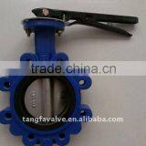 API Cast Iron Worm Gear Lug Type Butterfly Valve