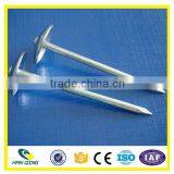Hot Dipped Galvanized Roofing Nail With Ring Shank thumbnail-2