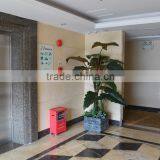 2016 High Quality Artificial Bonsai For Hotel Decoration thumbnail-4