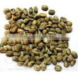 raw arabica and robusta coffee beans exporters india/robusta cherry,arabica plantation suppliers