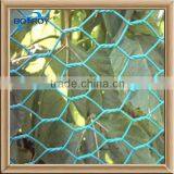 Galvanized Chicken Wire Mesh/fences