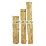 Bamboo Stake - Tonkin cane