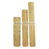 Bamboo Stake - Tonkin Cane thumbnail-1