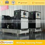 Lovol 20kw Biogas Generator With CHP thumbnail-1