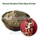 Male Enhancement Velvet Bean Powder With 99% L-dopa for Premature Ejaculation