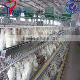 Chicken Cage South Africa thumbnail-6