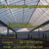Zhongxing Greenhouse Engineering Co.,Ltd