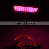 Shenzhen Factory Best Price 150W(55x3W) EPISTAR UFO LED Grow Light For Lettuce Plant Good Quality thumbnail-5