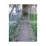 Tomato Support thumbnail-1