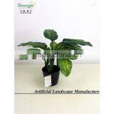 SAS201603 China Supplier Artificial Greenery Plant,Indoor Fake Ornamental Foliage Plant thumbnail-6