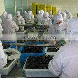 IQF Blue Mussel Without Shell thumbnail-3