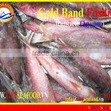 FROZEN GOLD BAND FUSILIER WHOLE ROUND thumbnail-1