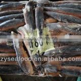 The best seller of seafood Frozen Argentina Squid (Squid Tubes )