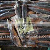 The Best Seller of Seafood Frozen Argentina Squid (Squid Tubes ) thumbnail-1