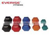 Colorful Rubber Coated Dumbbell thumbnail-1