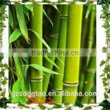 Chinses Factory Cheap Artificial Lucky Bamboo Wholesale Artificial Bamboo Tree Bamboo Poles Wholesale for Home thumbnail-5