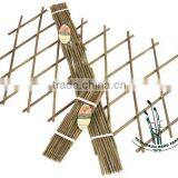 Flexible Willow Trellis thumbnail-1