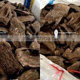 Sweet Scent With Oil is Major From Vietnam Agarwood Chips or Oud Wood Chips Nhang Thien JSC thumbnail-1