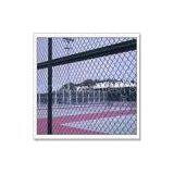 High Quality Jail Wire Mesh Fence With Professional Manufacturers! thumbnail-1