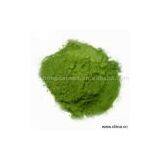 Sell Dehydrated Spinach Powder thumbnail-1