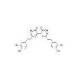 Echinacea Purpurea Extract thumbnail-2