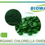 Organic Chlorella Powder thumbnail-1