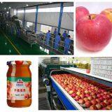 Fruit Jam and Paste Processing Line