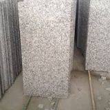 G602 Granite Slabs Granite Tiles Countertops