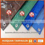 Reinforced Plastic Tarpaulin for Tent