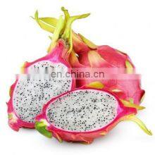 HOT SELLING TROPICAL FRUIT FRESH DRAGON/PITAYA FRUIT FROM VIET NAM