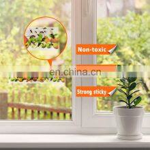 Window Clear Fly Trap Catcher Gnats Sticky Strip Fruit Fly Glue Trap Attrape Mouches Sticker thumbnail-3