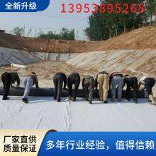 Waterproof Earthwork Geosynthetic Clay Liner Bentonite Swelling Waterproof Membrane Bentonite Geotextile Cover for Landfills thumbnail-2