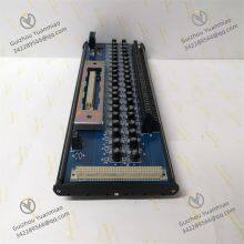 ROCKWELL T8800 Trusted 40 Channel Analogue Input FTA thumbnail-2