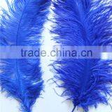 28"-30" Wholesale Bulk Blue Ostrich Feather For Wedding Table Decoration thumbnail-4
