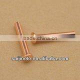 Hot Selling Special Made Electrical Brass Solid Contact Rivets