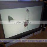 Dark Grey Color Promotion Inflatable Billboard ,holographic Projection Screen for Window Advertisig!! thumbnail-1