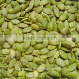 A Grade Pumpkin Seeds Kernels for Sales thumbnail-5