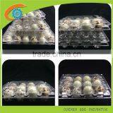 Plastic Quail Egg Tray for Packaging ,20 Quail Egg Cartons for Sale ,plastic Egg Cartons for Sale