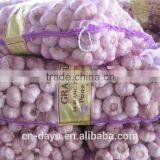 2016 Fresh Garlic Supplier thumbnail-4