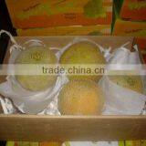 Cantaloupe thumbnail-1