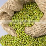High Quality Vietnam green mung beans for sale