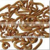 Golden Giant Yellow Dried Mealworm Pet Products thumbnail-1