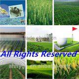 Tea Seed Meal/Cake/Powder for Aquaculture, Organic Fertilizer, Eco-pesticides, Etc. thumbnail-3