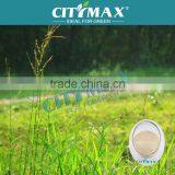 Amino Acid in Agroculture thumbnail-1