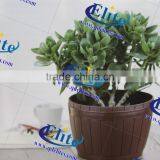 Chinese Porcelain Vases thumbnail-5