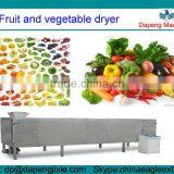 Fruit and Vegetable Dryer/electric Fruit Dryer/electric Vegetable Dryer/vacuum Dryer for Fruit and Vegetable thumbnail-1