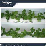Agricultural Polyurethane High Densuty Foam Tray Seed thumbnail-2