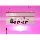 Grow Light 150w Vanq Indoor Led Plant Lamp Full Specturm Cob Led thumbnail-2